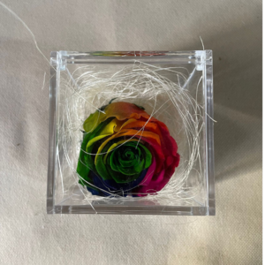 Preserved Long Lasting Rose 1 Head, Red, Blue or Rainbow