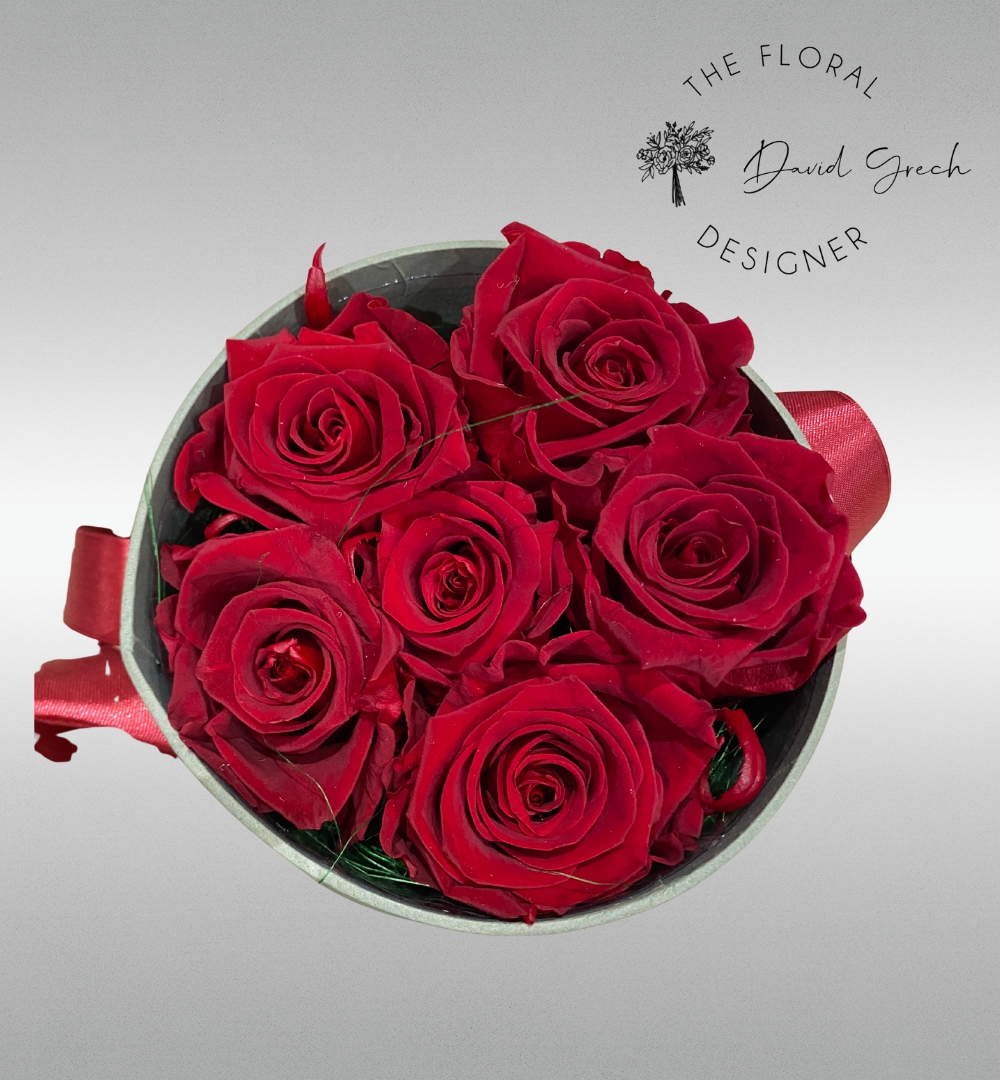 Untitled design (10)