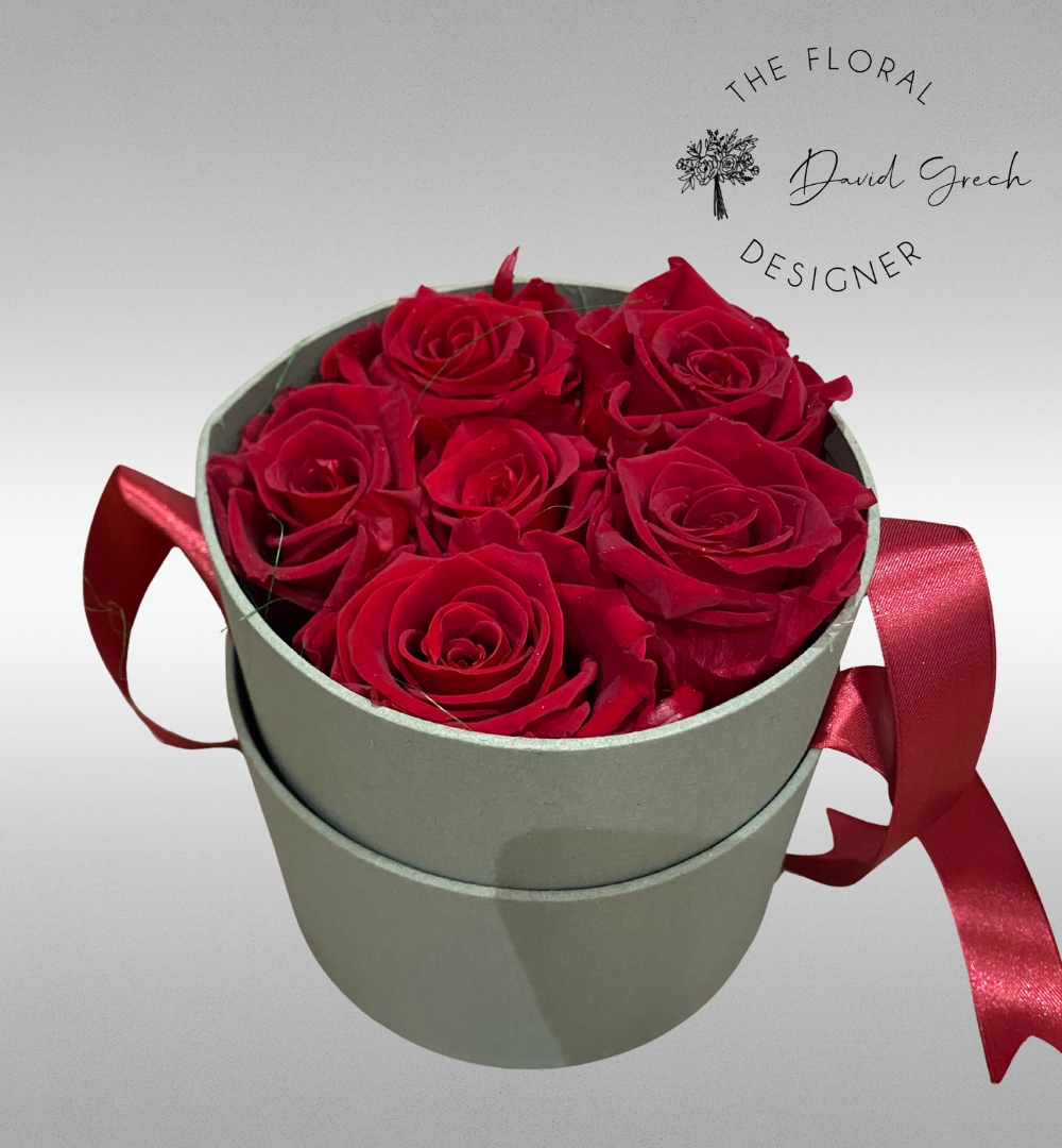 Untitled design (11)